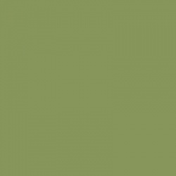 BS381-278 Light Olive Green Aerosol Paint